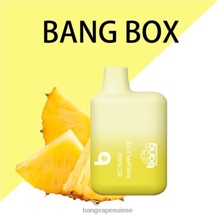 Bang Vape Box BC5000 Stylo 5% nic 5000 bouffées type-c rechargeable jetable Bang Box Vape Review P242D9
