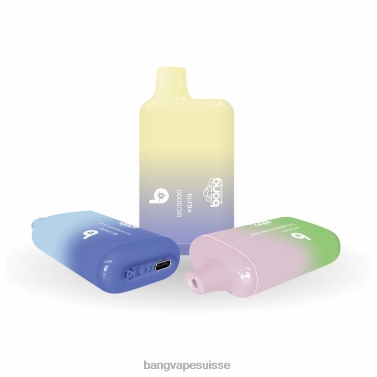 Bang Vape Box BC5000 Stylo 5% nic 5000 bouffées type-c rechargeable jetable Bang Box Vape Review P242D9