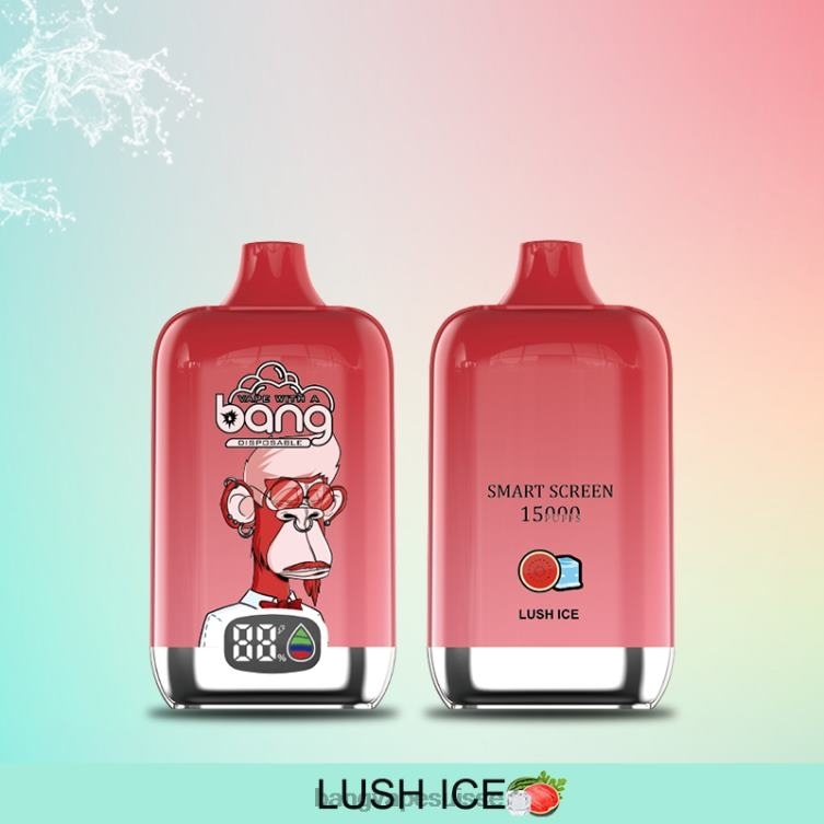 Bang Vape Digital Smart Screen 15000 bouffées 25ml jetable Vape Gang Suisse P242D11
