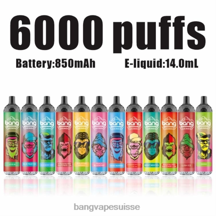 Bang Vape King 6000 bouffées 5% nic rechargeable type-c jetable Bang Xxl Disposable Vape Review P242D8