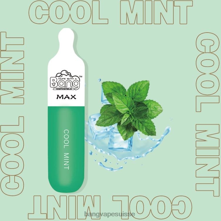 Bang Vape Max Barre de 5000 bouffées jetable Vape Gang Disposables Xl P242D10
