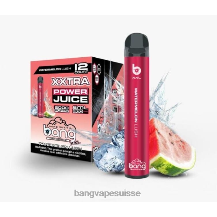 pastèque luxueuse