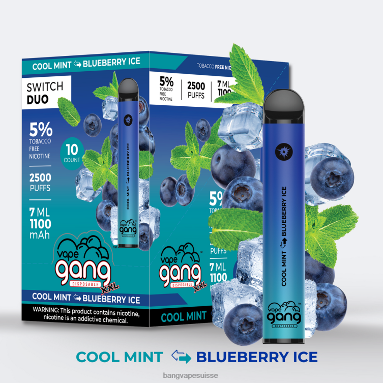 Vape Gang Switch Duo 2 saveurs (boîte de 10) menthe fraîche - glace aux myrtilles Vape Gang Disposables P242D43