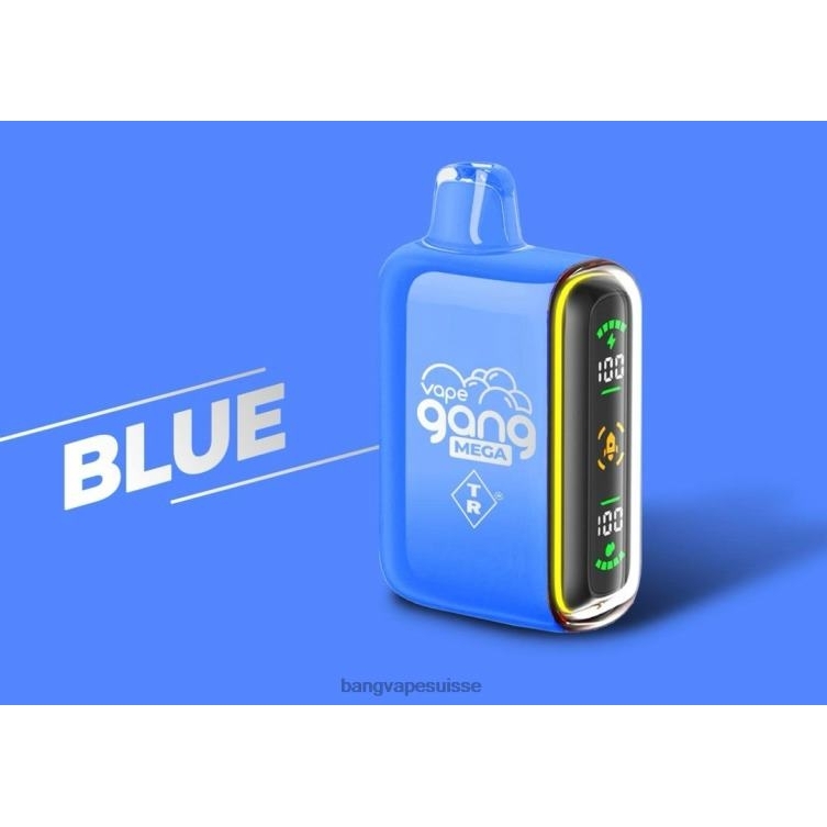 Vape Gang MEGA Vape jetable 20 000 bouffées (boîte de 5) bleu Vape Gang Suisse P242D52