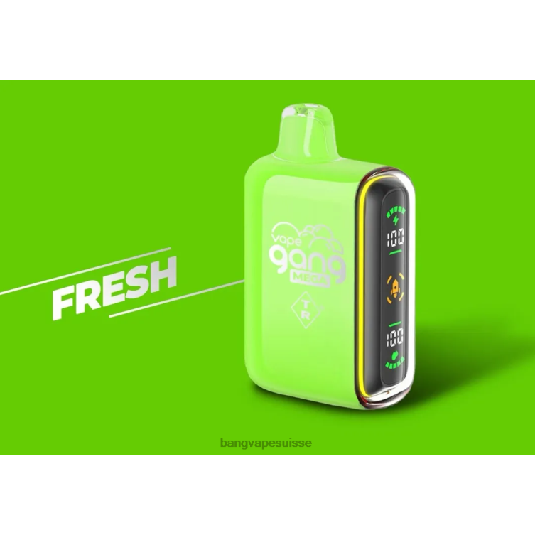 Vape Gang MEGA Vape jetable 20 000 bouffées (boîte de 5) frais Bang Vape Suisse P242D53