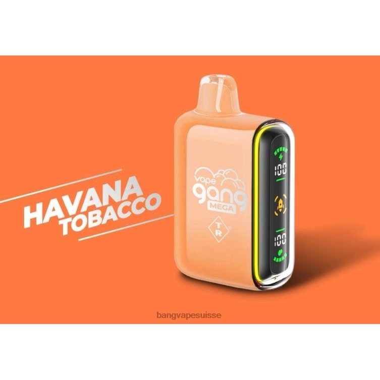 Vape Gang MEGA Vape jetable 20 000 bouffées (boîte de 5) tabac de la Havane Vape Gang Disposables P242D55