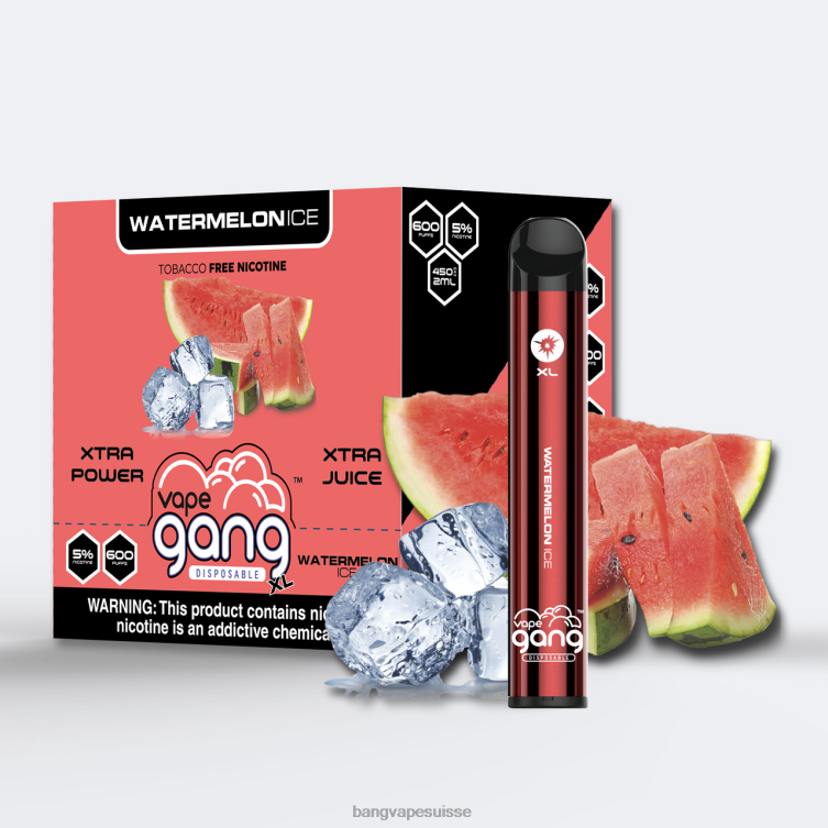 Vape Gang XL vapes jetables 600 bouffées (boîte de 10) glace à la pastèque Bang Vape Genève P242D76