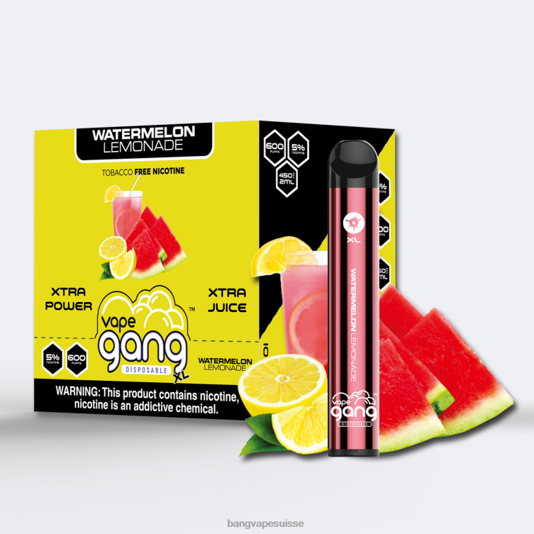 limonade à la pastéque